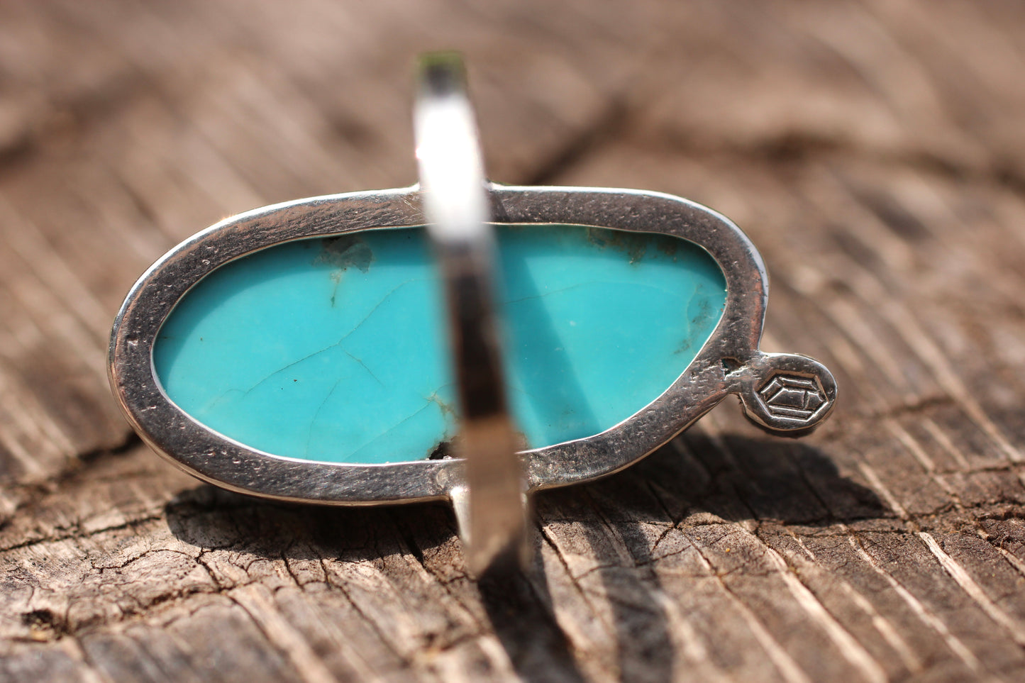 Aquapuss Series ~Turquoise~